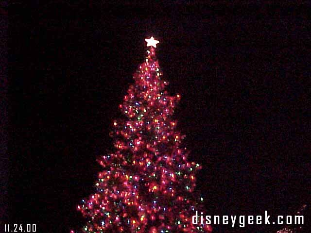 The Disneyland Hotel outdoor tree