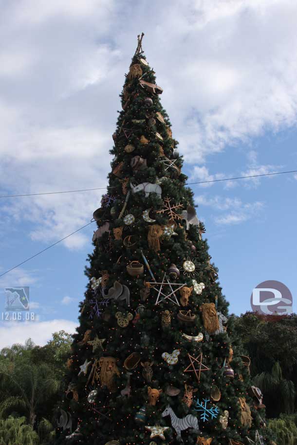 The next day we spent the morning at Animal Kingdom, here is their tree