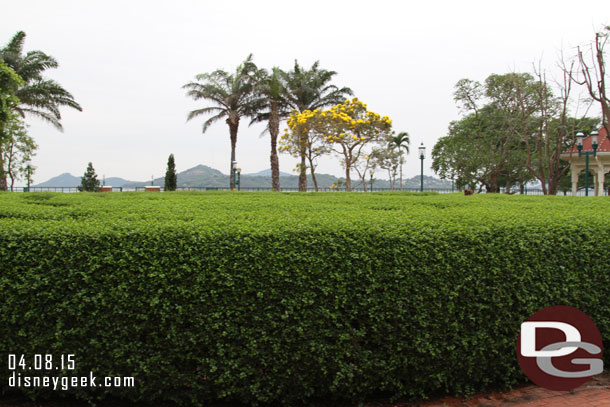 What the maze looks like at ground level.  Adults can see over the top.