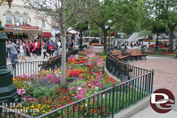 Some plants in Town Square