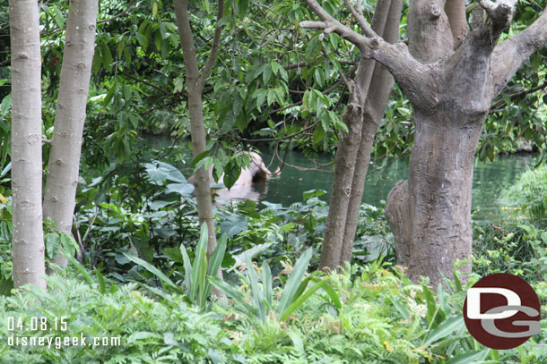 You can see into the Jungle River Cruise from the depot.