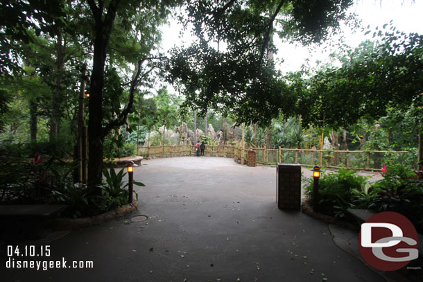 Looking out toward the Jungle River Cruise