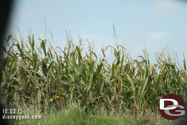 Heading through the fields now.