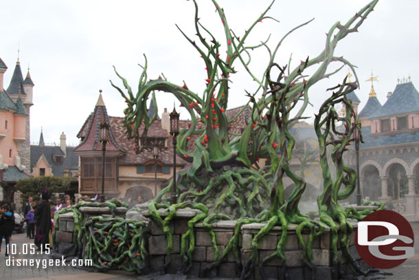 The brambles in Fantasyland.