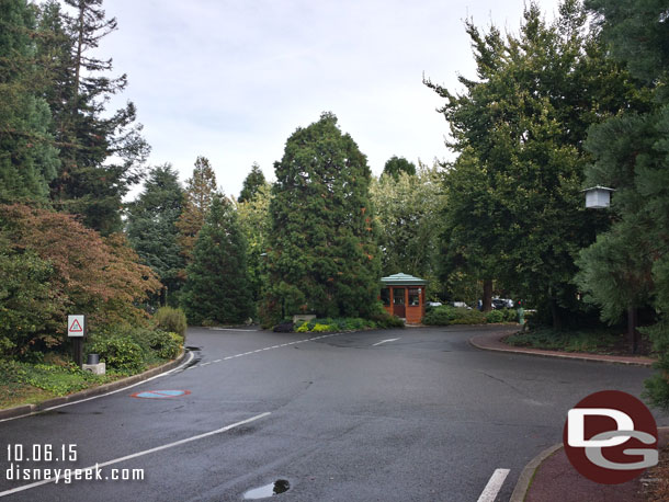 Looking up the driveway