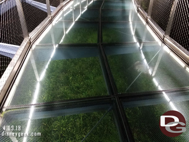 This was a glass bridge so you could look down at the plants and water.