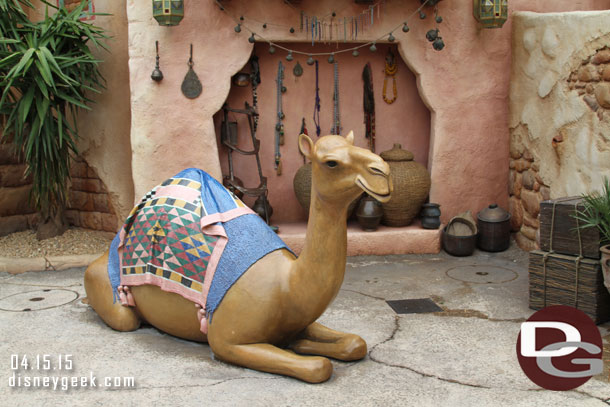 A camel photo op