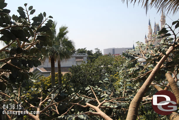 A look out from the top of the Tree House