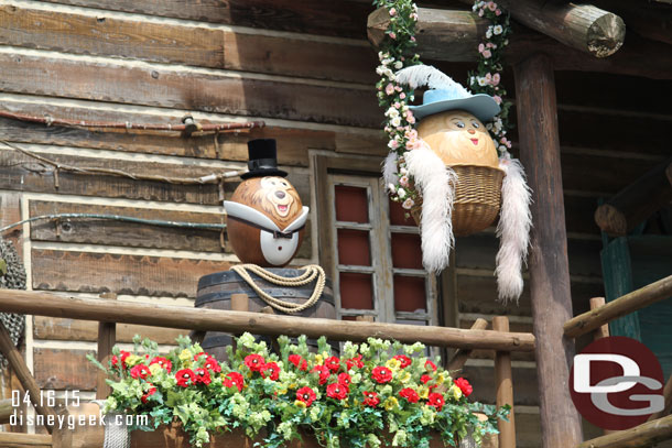 Country Bear eggs