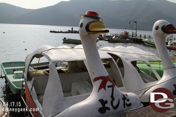 Swan boats.