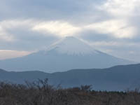 Day 7: Mt Fuji