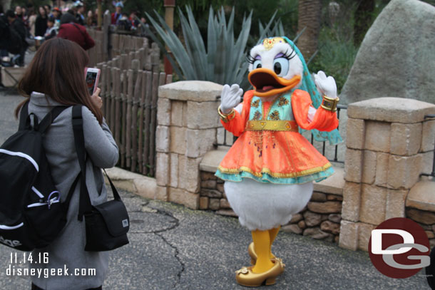 Daisy Duck in the Arabian Coast