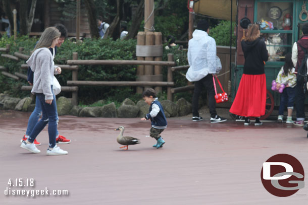 Kids everywhere love chasing ducks around the parks.