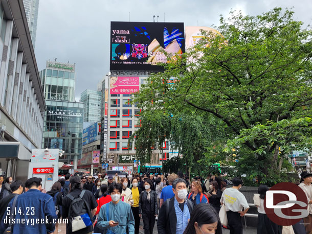 This area was substantially more crowded than anywhere else we had been so far.   This was a Sunday morning so it was not insanely crowded but still very busy.