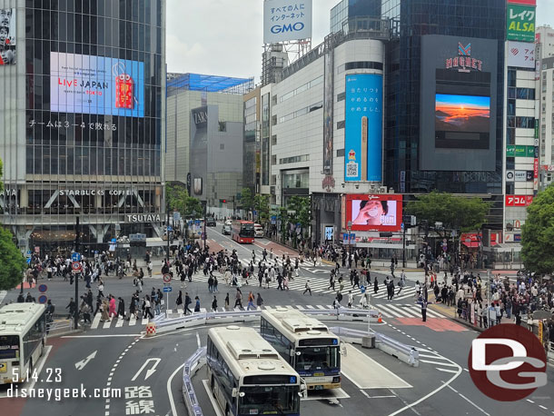 We moved to a second story window to get a view of the crossing.   At peak times up to 3,000 people will cross during a single cycle.  
