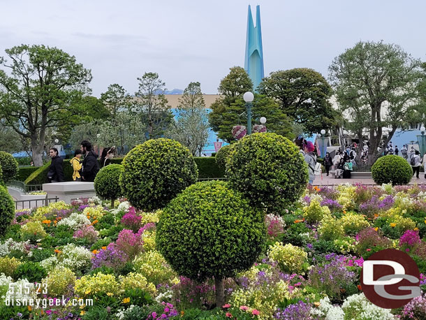 Plants in the central planter