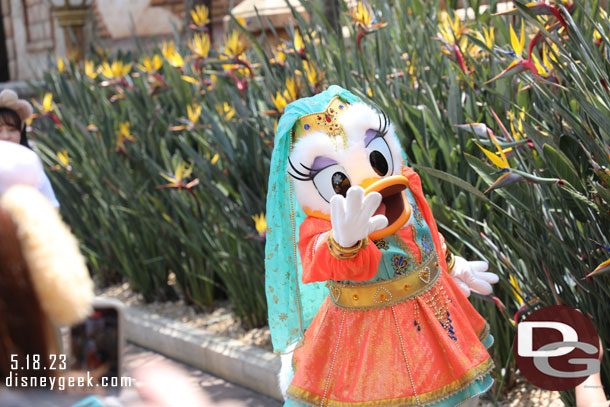 Daisy was out greeting guests
