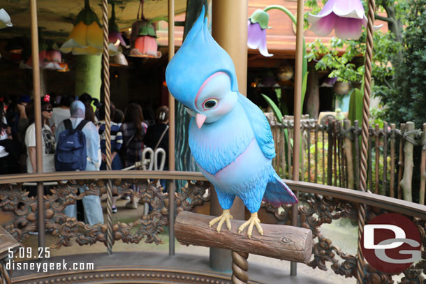 A bluebird is inside