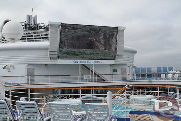 On the large screen they were showing a film about Alaska this morning so stopped for a bit.