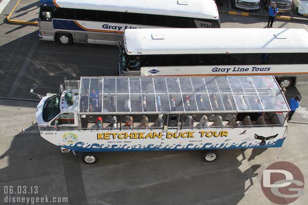 Tour buses lined up to take people from the ship on various excursions.