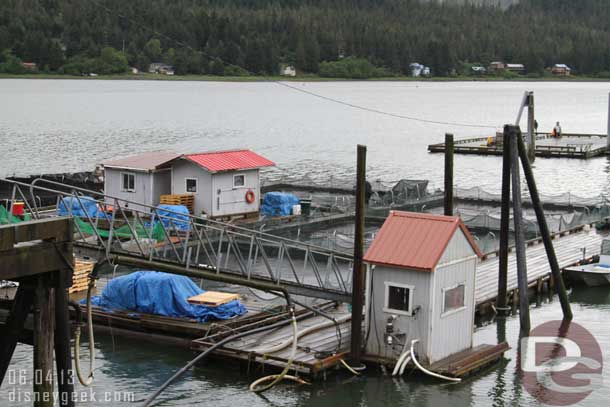 In the pens were young salmon that would be released eventually.