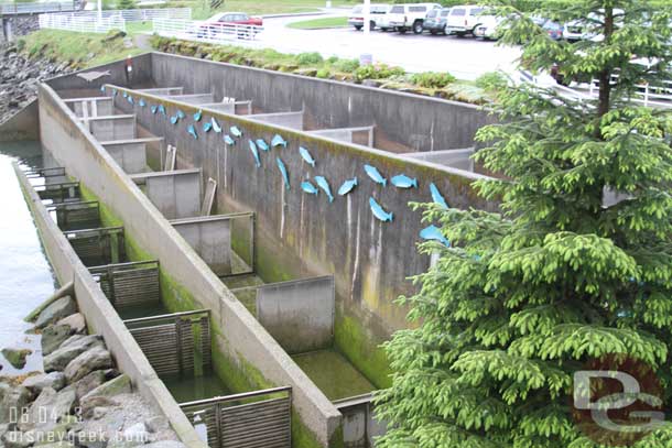 A fish ladder that the salmon use when they return to spawn.