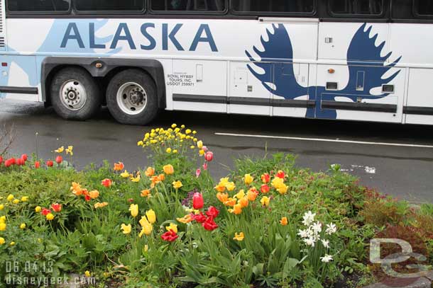 While waiting to board the bus thought I would take a picture of the flowers and bus..