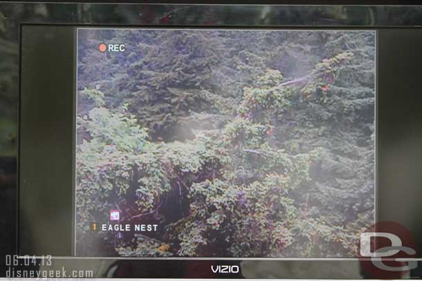 They have a webcam on the eagle nest I showed you earlier.