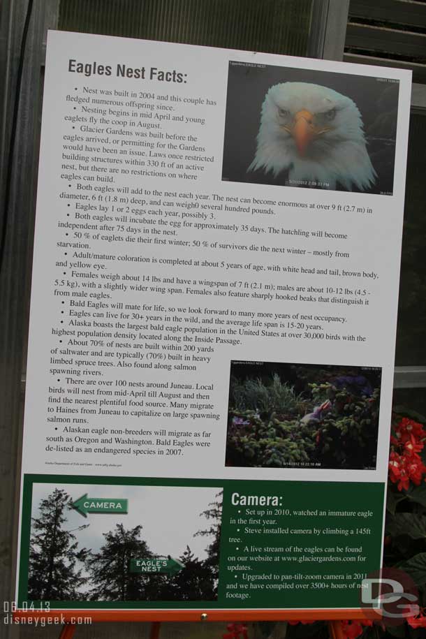 And some information on eagles.