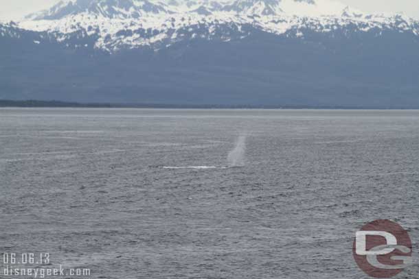 A water spout from a whale nearby.