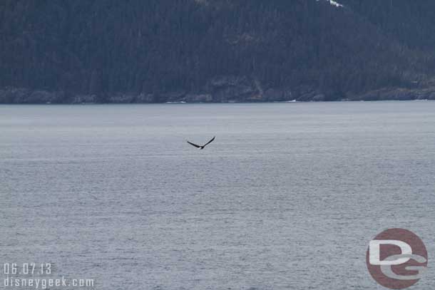 A bald eagle flew over the ship.. by the time I found it and snapped a picture it was quite a ways past us already.