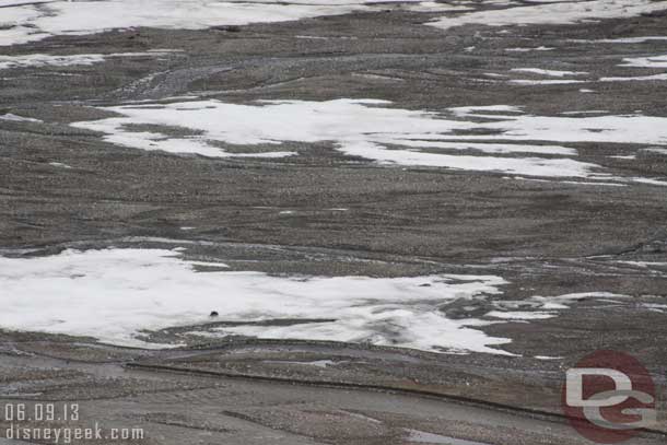 To give a better idea at size.. this picture is at 135mm only.