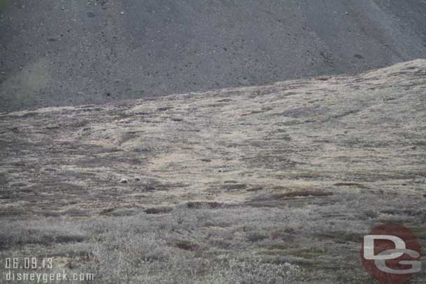 We came upon three grizzly bears.  Can you spot the them in this picture.  They were quite a ways away.. this was taken at 300mm and they still looked like dots.