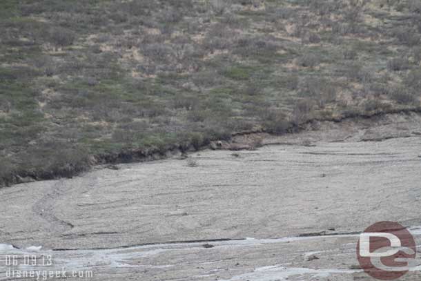 A closer view. It is about dead center in this picture.  This is at 300mm.