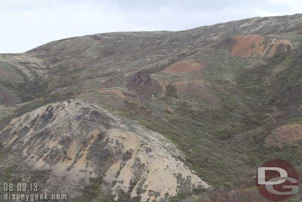 Another Dall Sheep on the hill (the white dot).