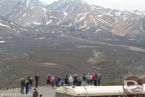 Here you can see most of our bus looking for or watching the bear.