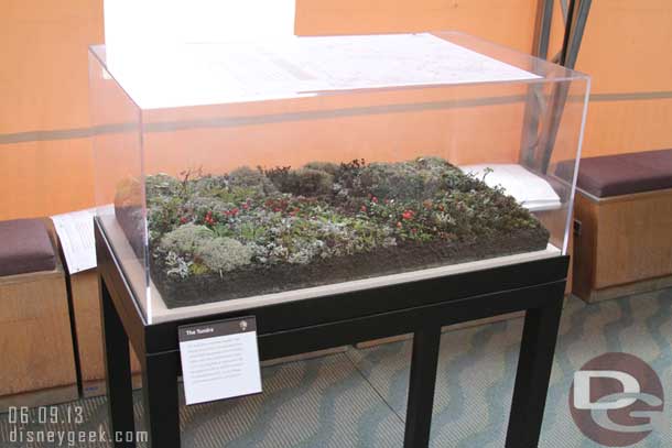 An exhibit explaining the tundra we were seeing.