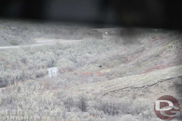 We continued on and spotted a grizzly bear ahead in the bus (the road is off on the left to give you an idea of distance).