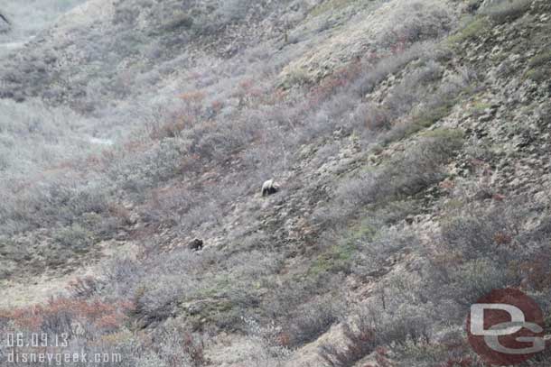 We pulled up as it climbed and a mother and couple year old cub were on the hillside next to us.