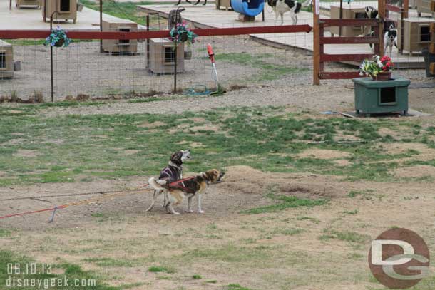 Then they prepared for a demonstration of a team in action.  