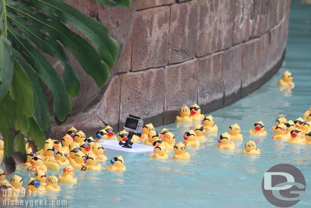 They had a couple of cameras floating with the ducks.  Guessing for a parks blog posting or just a fun video.. hope it surfaces soon.