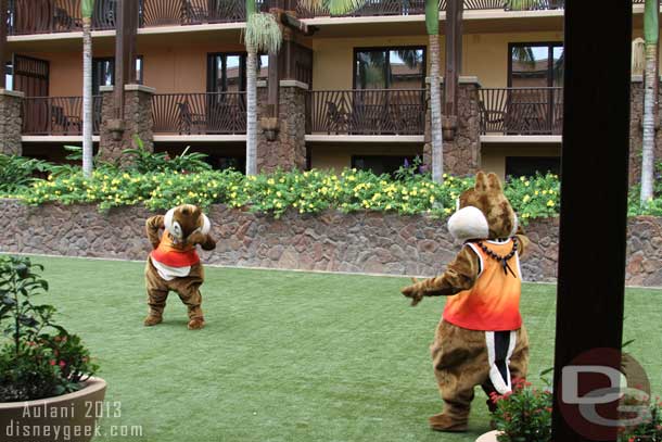 As there training was going Chip and Dale arrived on the scene.