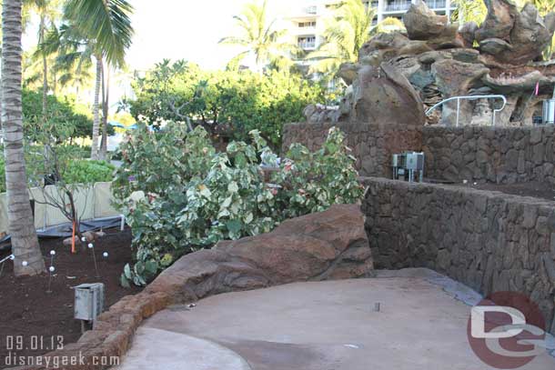 More plants in along the walkway by the lagoon.