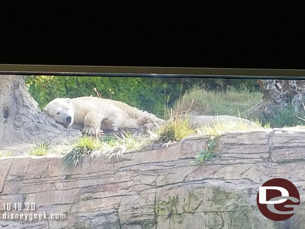 The other two were just lounging around.