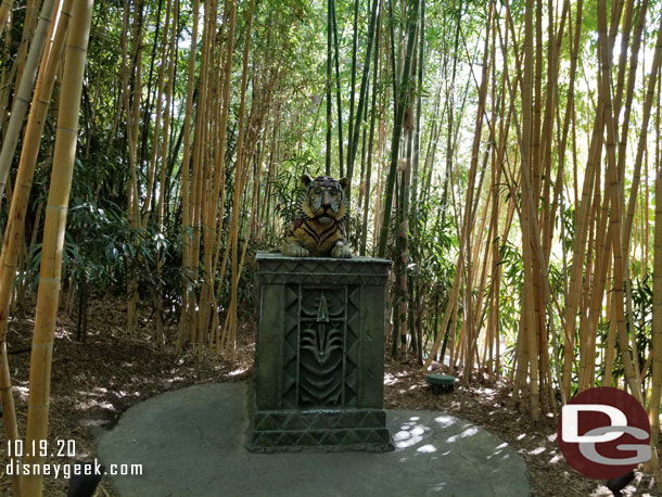 Walking through a bamboo forest.