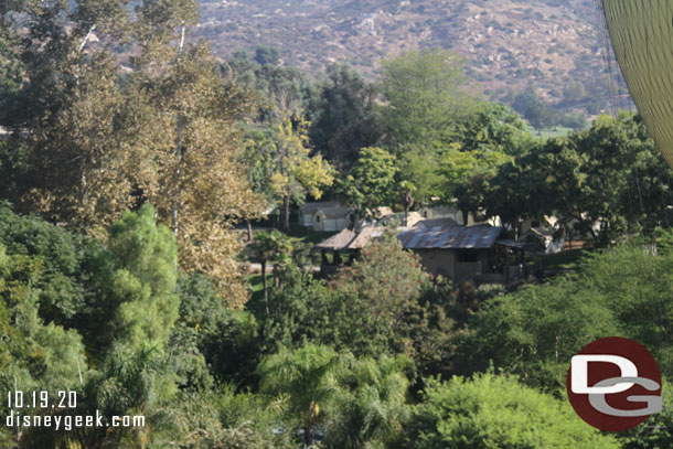 The campground area in the grove.