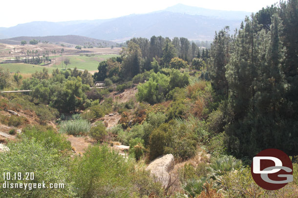 Looking out to the savannas