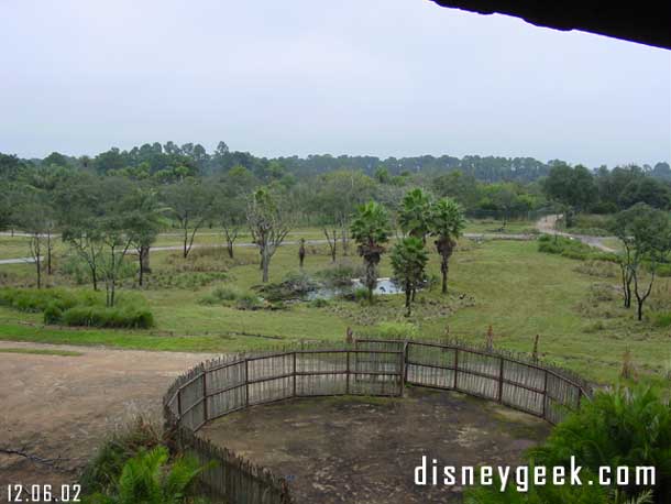 A couple shots from our room at the Animal Kingdom Lodge