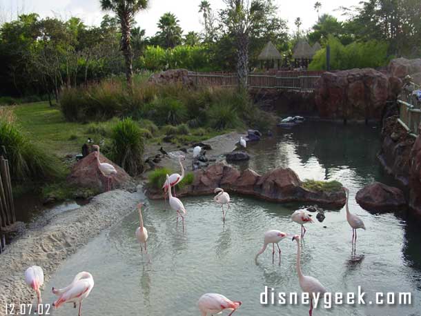 This was the only area of the resort that smelled like animals, I guess the birds just stink..