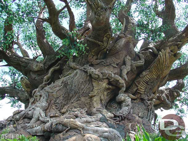 The tour then wound around the Tree of Life